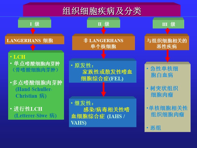 郎格罕细胞组织细胞增生症.ppt_第3页