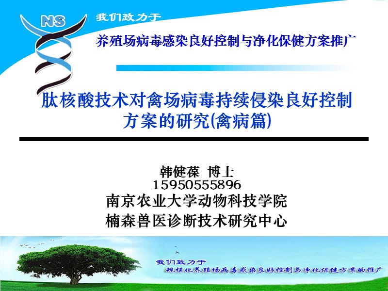 肽核酸技术对禽场病毒持续侵染良好控制方案的研究(禽病篇).ppt_第1页