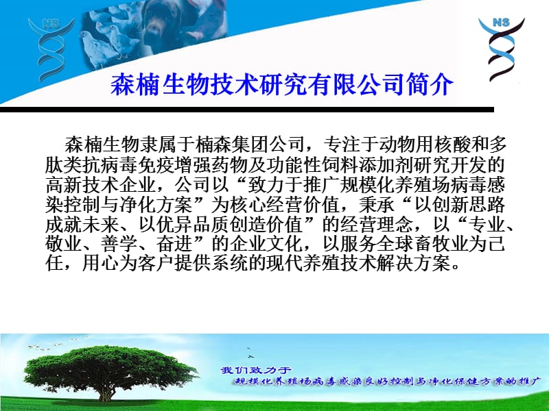 肽核酸技术对禽场病毒持续侵染良好控制方案的研究(禽病篇).ppt_第3页