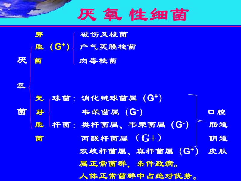 破伤风梭菌2012-4.ppt_第2页