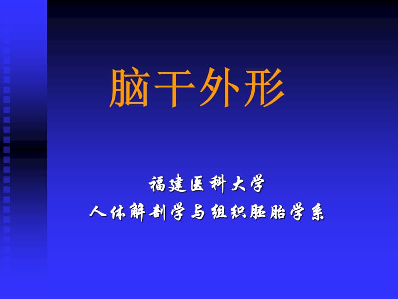 脑干、小脑间脑和端脑.ppt_第1页