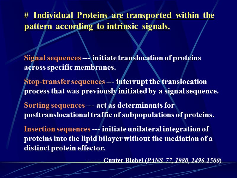 生物物理课-3.ppt_第3页