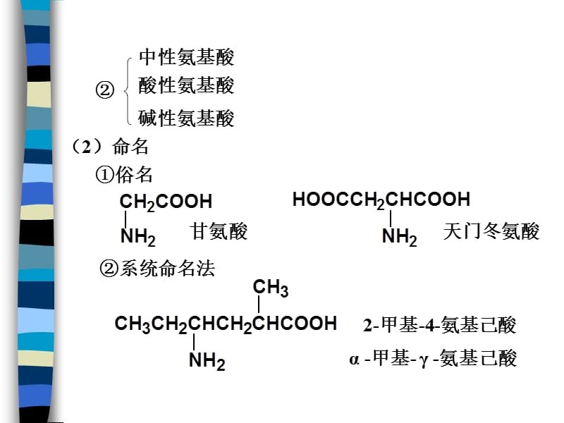 氨基酸、多肽、蛋白质和酶的化学(药学).ppt_第2页