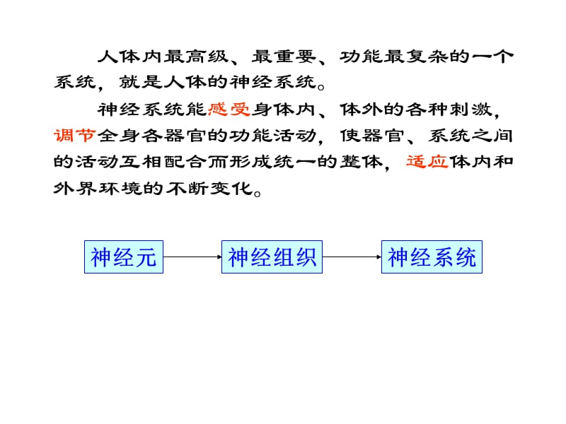 神经调节和激素行为.ppt_第2页