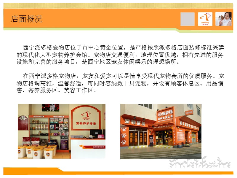 西宁宠物店.ppt_第3页