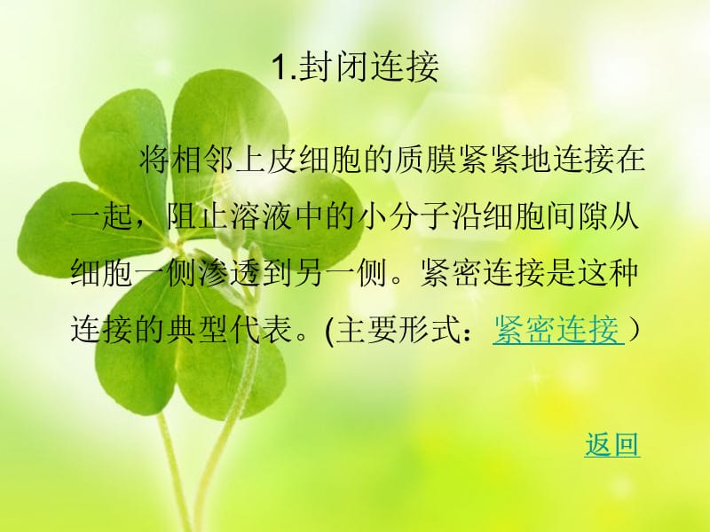 细胞的社会联系：细胞连接、细胞黏着和细胞外基质.ppt_第3页