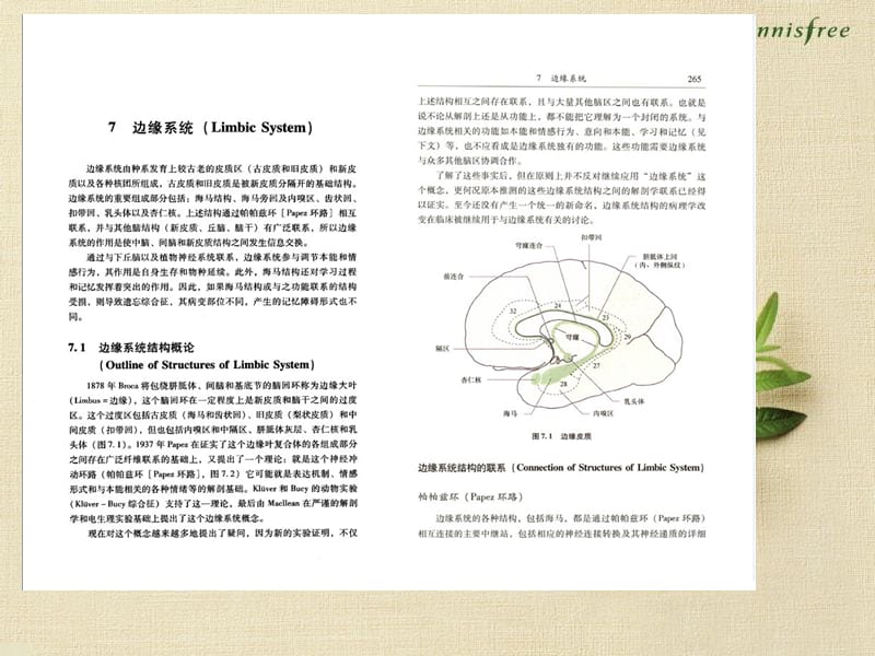 神经系统疾病定位诊断学0708.ppt_第1页