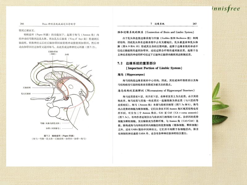 神经系统疾病定位诊断学0708.ppt_第2页