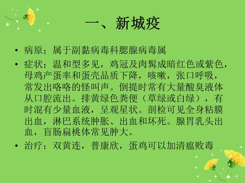 禽病—鸡病常见临床病症诊断.ppt_第2页