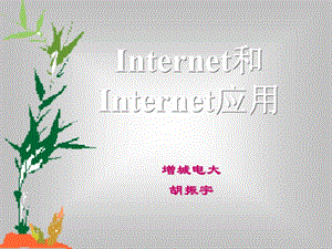 Internet和Internet应用.ppt