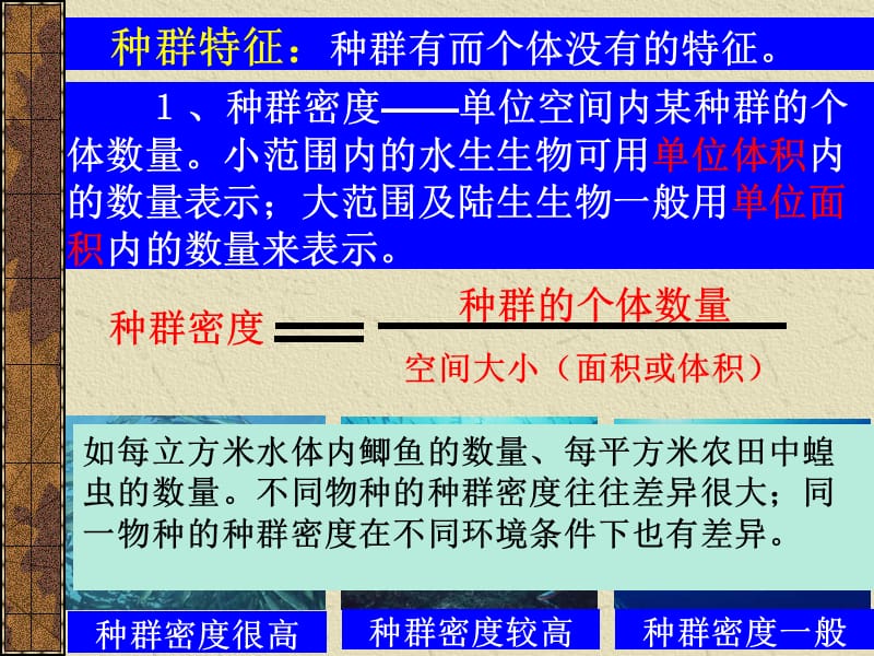 种群与生物群落3.ppt_第2页