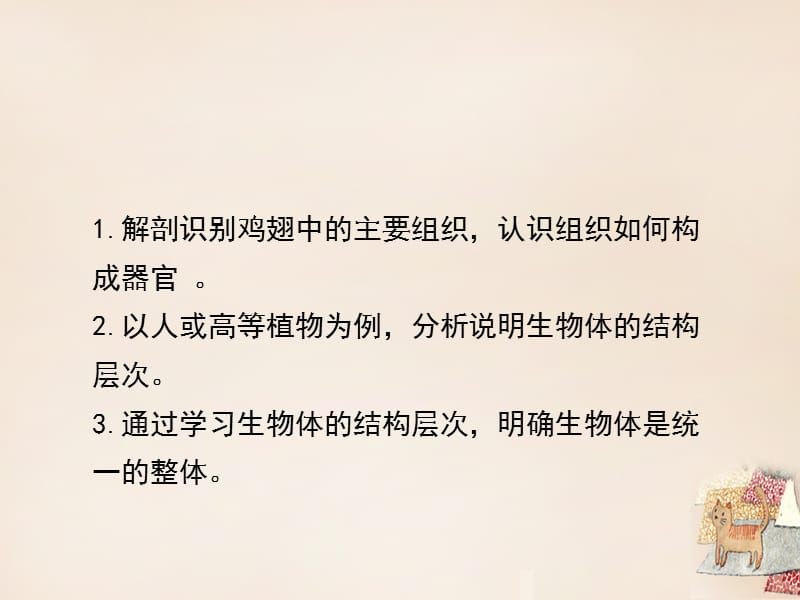 七年级生物上册 4.2 生物体的器官、系统课件（2） 北师大版.ppt_第3页