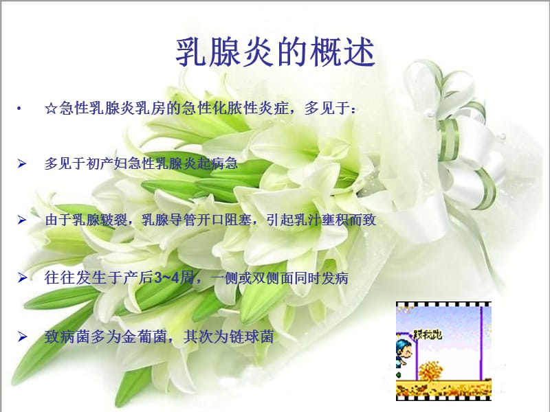 急性乳腺炎的护理.ppt_第2页