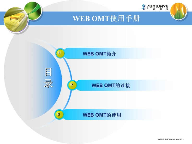 WEBOMT使用手册(三维数字直放站调试说明).ppt_第2页