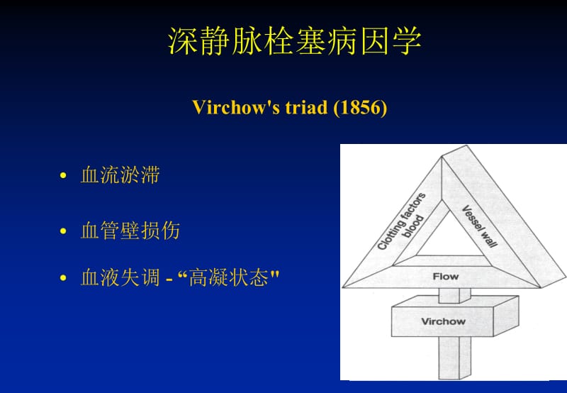 低分子肝素的差异-刘建社主任讲稿.ppt_第3页