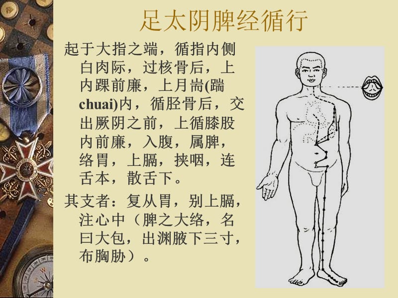 足太阴脾经theSpleenMeridianofFoot-TaiyinSP.ppt_第2页