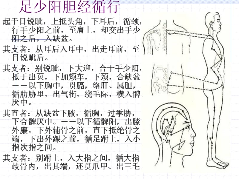 足少阳胆经theGallbladderMeridianofFoot-ShaoyangGB.ppt_第2页