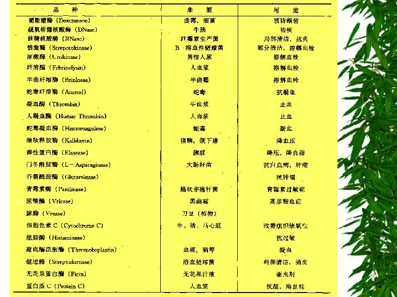 3酶类药物及其生产工艺.ppt_第3页