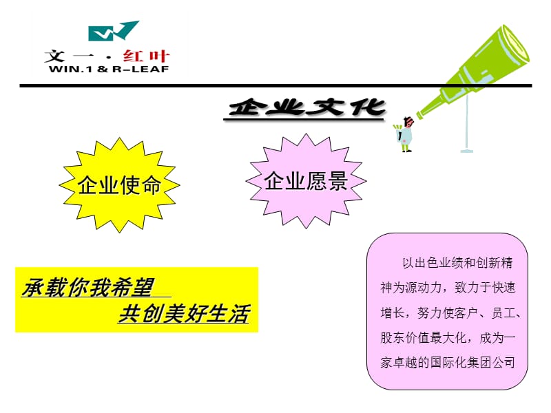 070126文一红叶集团简介.ppt_第3页