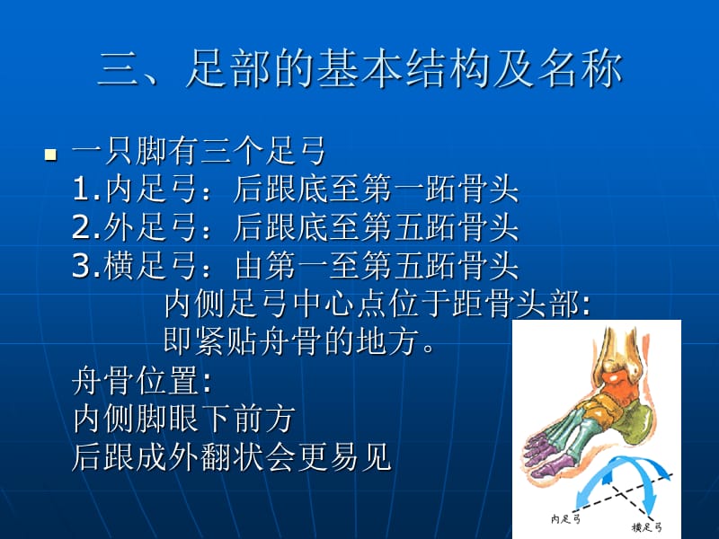 足部反射区保健按.ppt_第3页