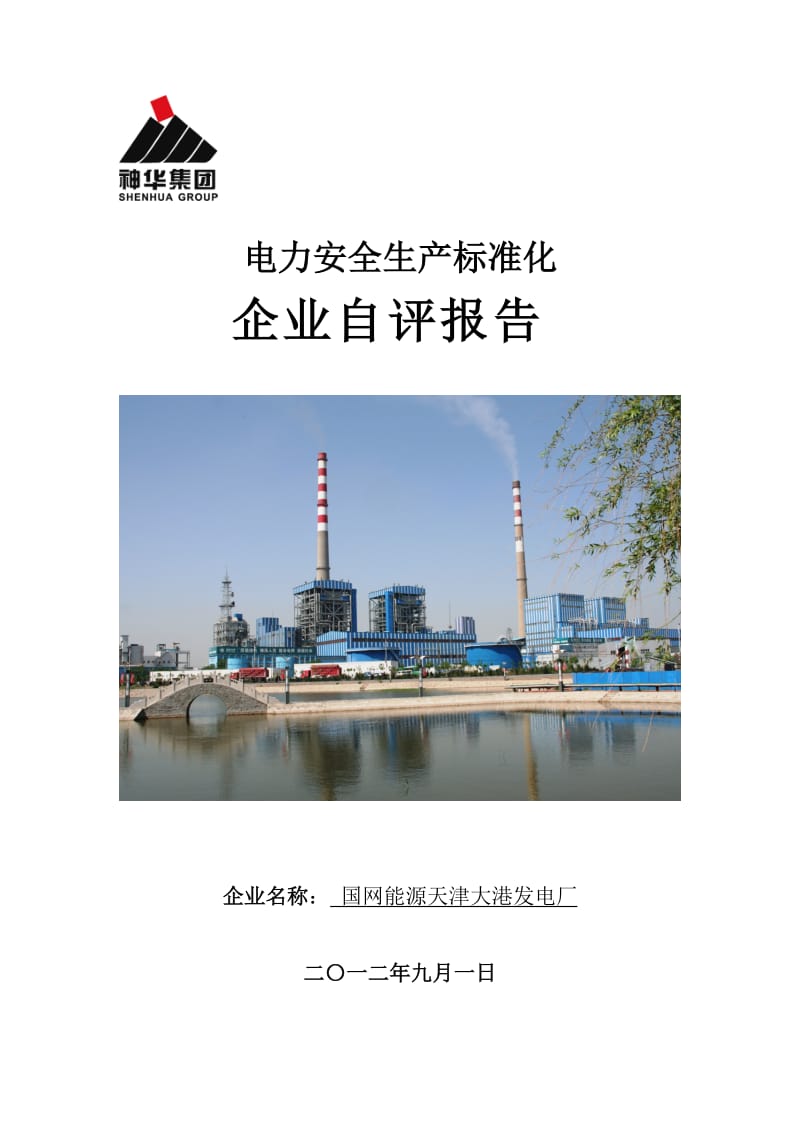 大港电厂电力企业安全生产标准化达标自查报告(9.12印刷版).doc_第1页