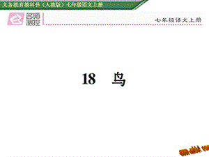 免费新教材人教版七年级语文上册18鸟导学案及答案初中语文学案网详细信息.ppt