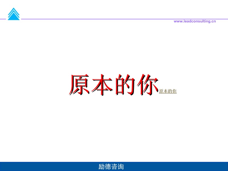 卓越的行销技巧0.ppt_第3页