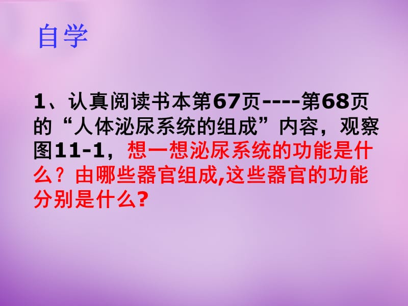 辽宁省灯塔市第二初级中学七年级生物下册 11.1 人体泌尿系统的组成课件 （新版）苏教版.ppt_第2页