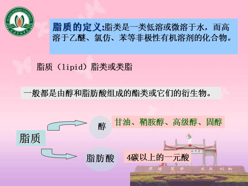 第8章脂质和生物膜.ppt_第2页