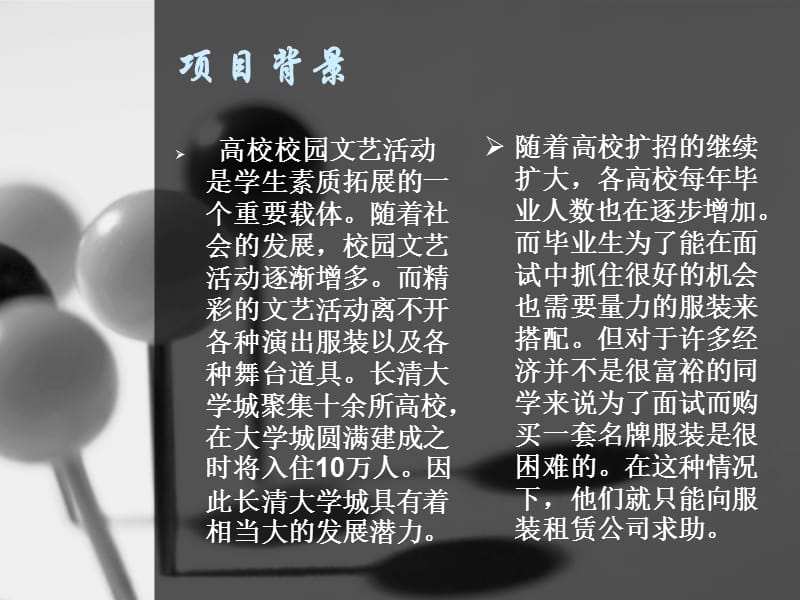 包租婆服装租赁公司.ppt_第2页