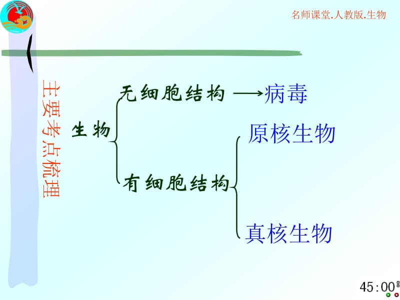 原核生物、真核生物与病毒.ppt_第3页