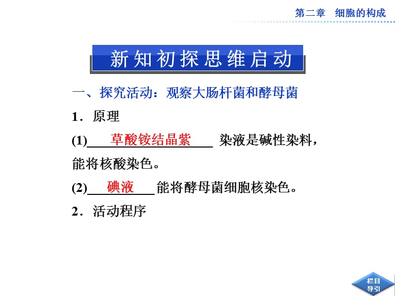 中图版真核细胞与原核细胞用.ppt_第3页