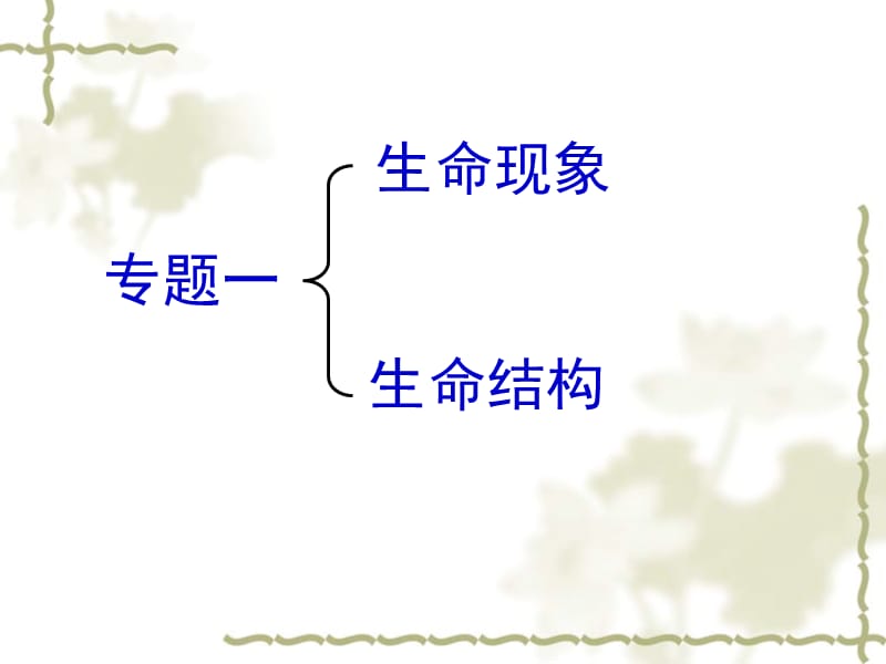 复习专题一生命现象、结构.ppt_第2页