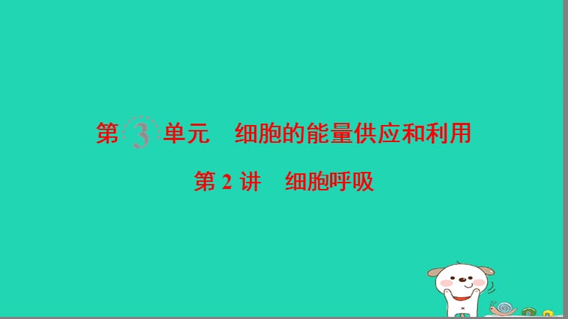 全国版2019版高考生物一轮复习第3单元细胞的能量供应和利用第2讲细胞呼吸课件.ppt_第1页