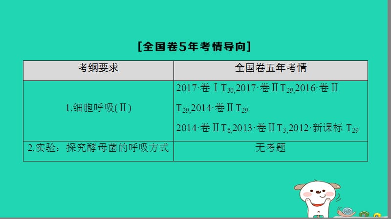 全国版2019版高考生物一轮复习第3单元细胞的能量供应和利用第2讲细胞呼吸课件.ppt_第3页