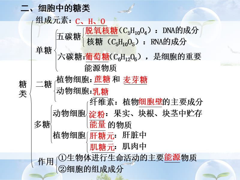 第4课时组成生物体的有机化合物.ppt_第3页