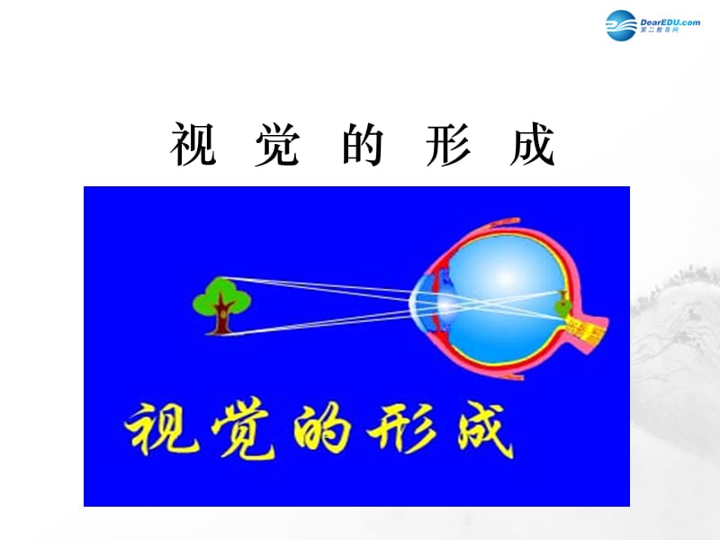 山东省临沂市蒙阴县第四中学七年级生物下册 第四单元 第六章 人体生命活动的调节复习课件 （新版）新人教版.ppt_第3页