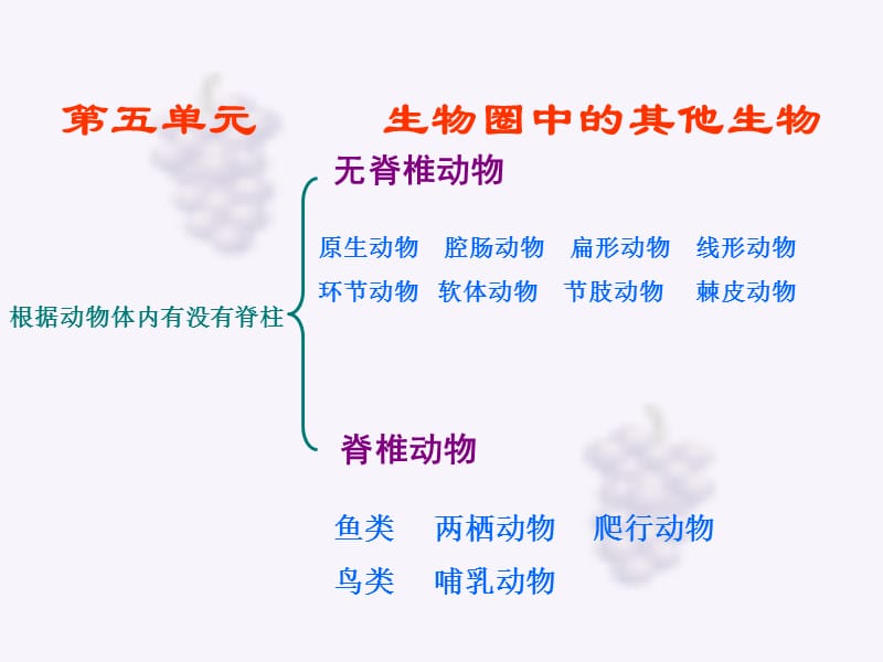 八年级上册(复习课).ppt_第1页