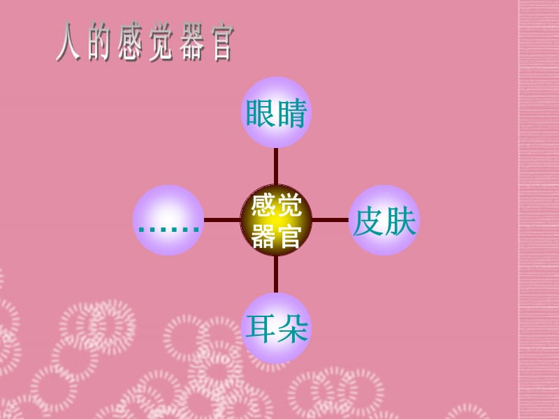 云南省祥云县禾甸中学七年级生物下册《12-3 感知信息》课件 苏教版.ppt_第2页