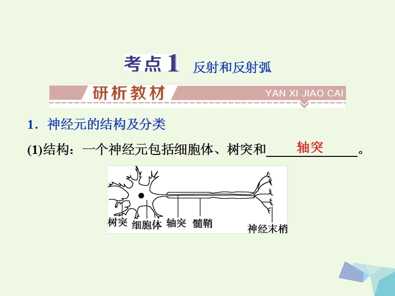 全国2018版高考生物大一轮复习第八单元生命活动的调节第30讲通过神经系统的调节课件.ppt_第3页