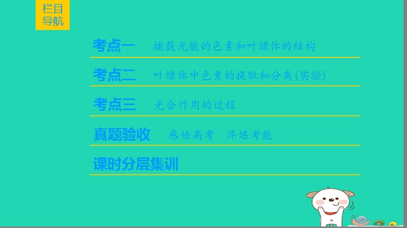 全国版2019版高考生物一轮复习第3单元细胞的能量供应和利用第3讲光合作用(Ⅰ)课件.ppt_第2页