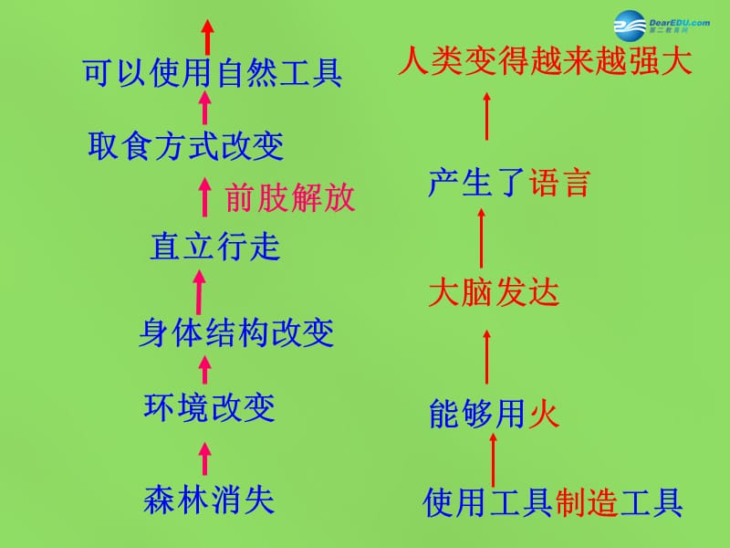 山东省淄博市临淄区第八中学七年级生物下册 1.2 人的生殖课件2 新人教版.ppt_第1页