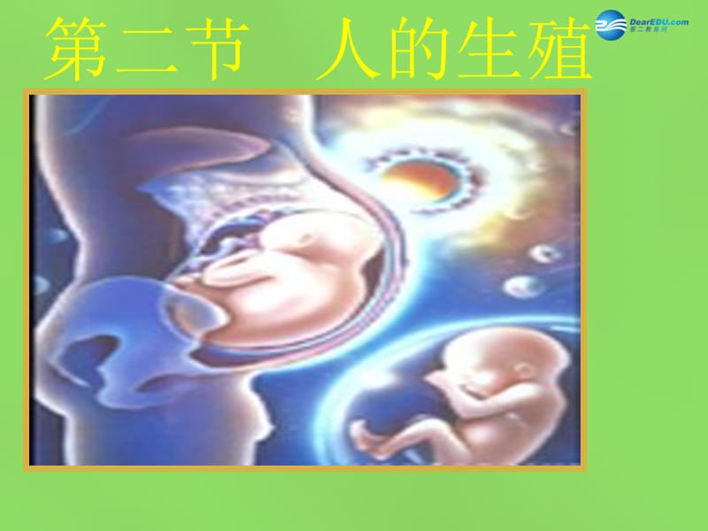 山东省淄博市临淄区第八中学七年级生物下册 1.2 人的生殖课件2 新人教版.ppt_第3页