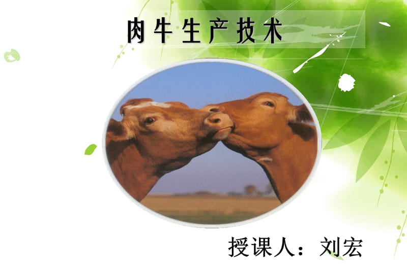 二肉牛品种与改良.ppt_第1页