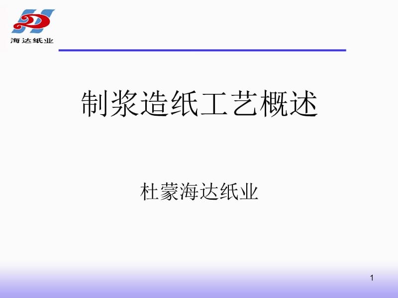 制浆造纸工艺概述(海达纸业).ppt_第1页