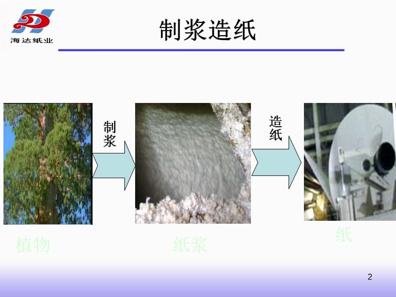 制浆造纸工艺概述(海达纸业).ppt_第2页