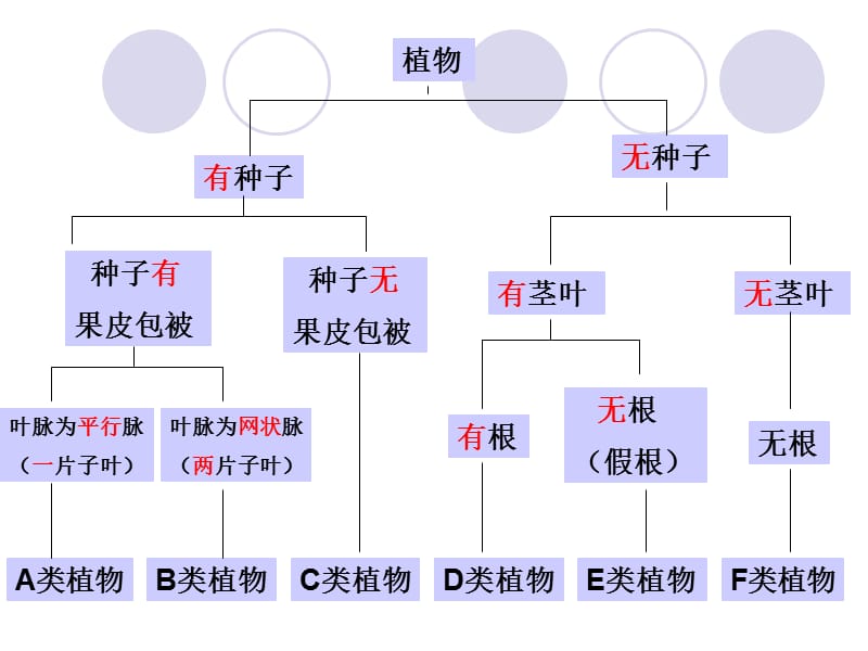 八年级生物根据生物的特征进行分类.ppt_第3页