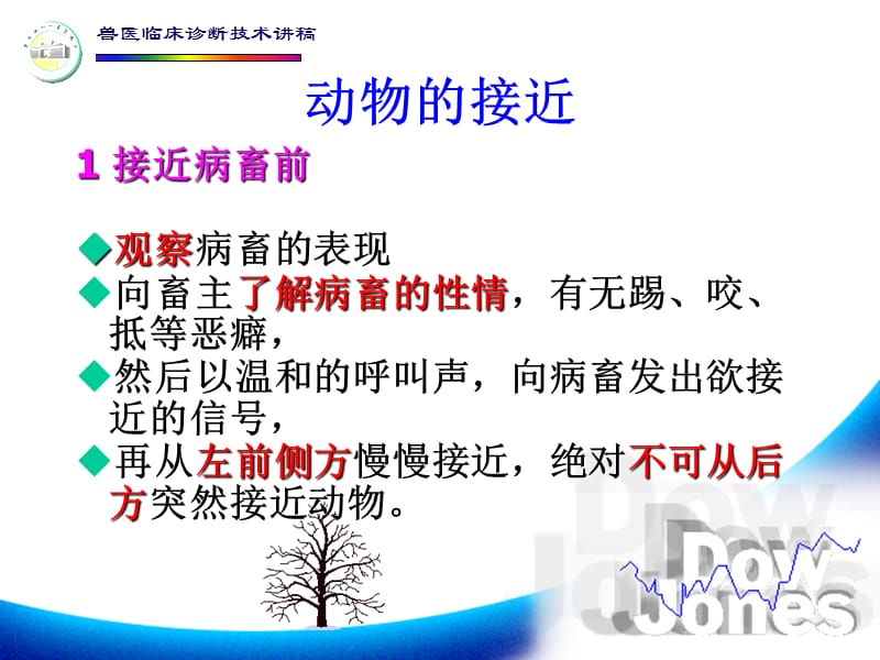 动物的接近与保定.ppt_第2页