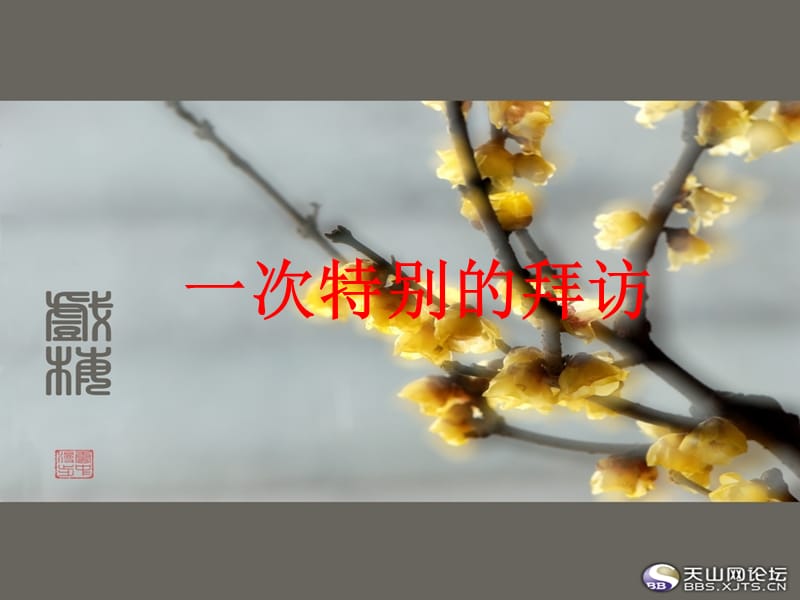 作文：一次特别的拜访.ppt_第1页