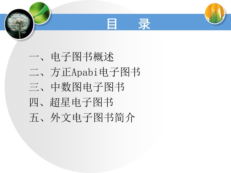 中外文电子图书数据库检索与利用.ppt_第2页